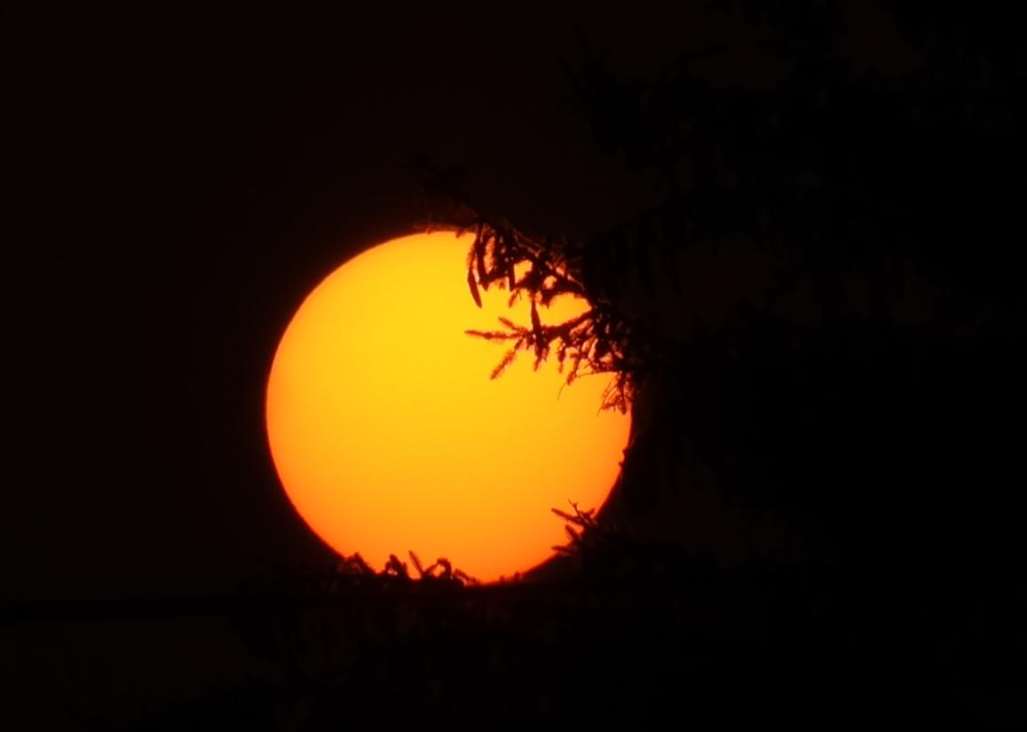 Amber Sky