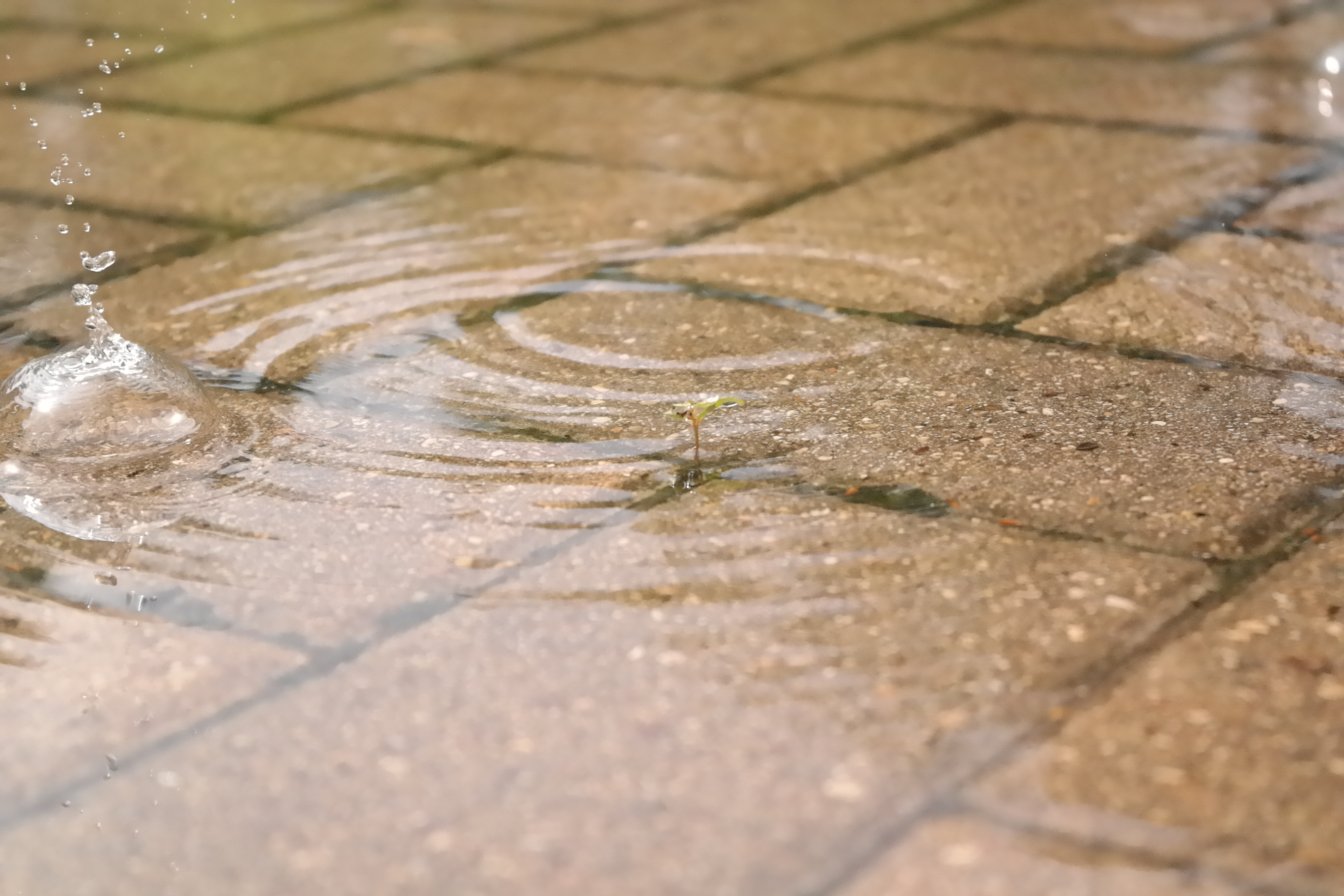 Water Drop