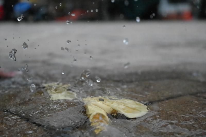 Frozen Motion
